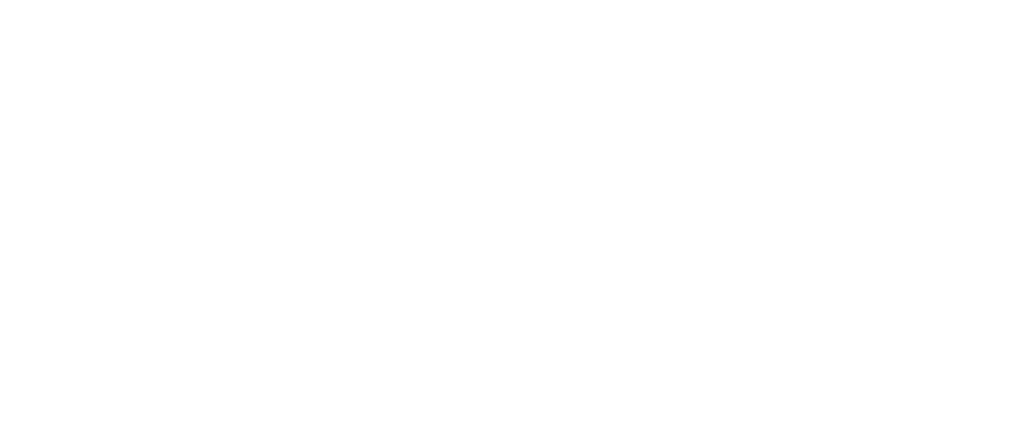 Fast Motors